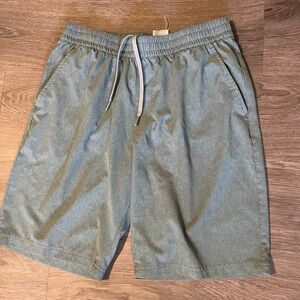 Adidas Golf Green Drawstring Athletic Shorts Men's Size Medium EUC Activewear